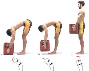 immagini delle differenti posture assunte da un uomo durante l'alzata di una cassetta pesante di bottiglie
