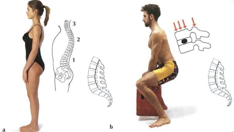 posizione corretta della colonna vertebrale al tipo di postura adottata sollevando pesi e senza pesi